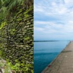 Dalhousie-Khajjiar Tour